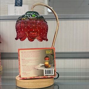 Luze viral strawberry candle warmer